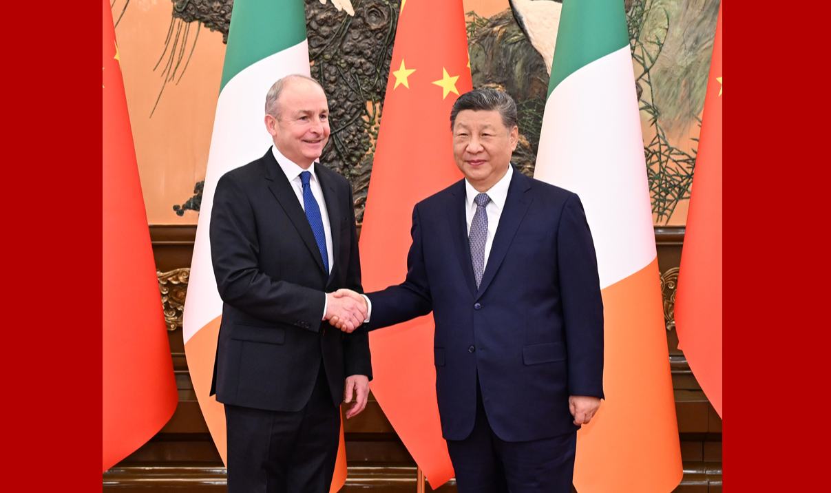 习近平会见爱尔兰总理马丁