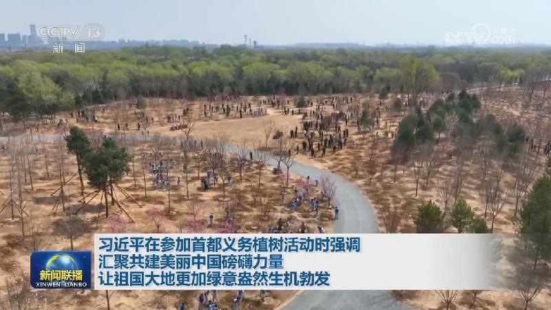 习近平在参加首都义务植树活动时强调 汇聚共建美丽中国磅礴力量 让祖国大地更加绿意盎然生机勃发