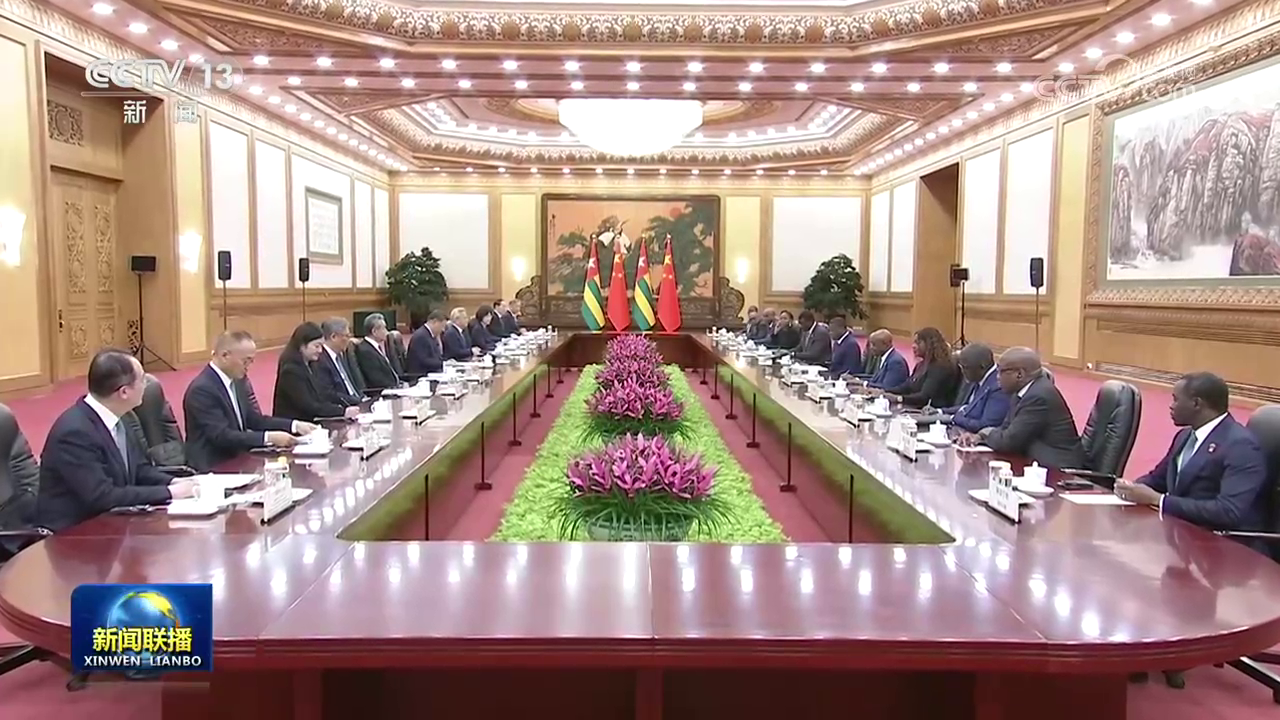 习近平会见多哥部长会议主席